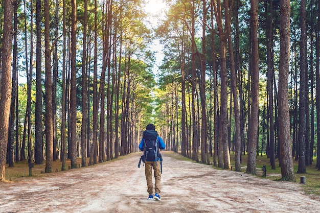 Uomo di escursionismo con lo zaino che cammina nella foresta.