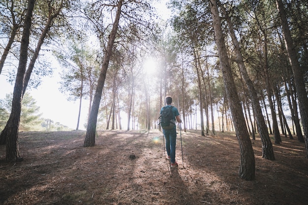 Uomo di vista posteriore che cammina nella foresta