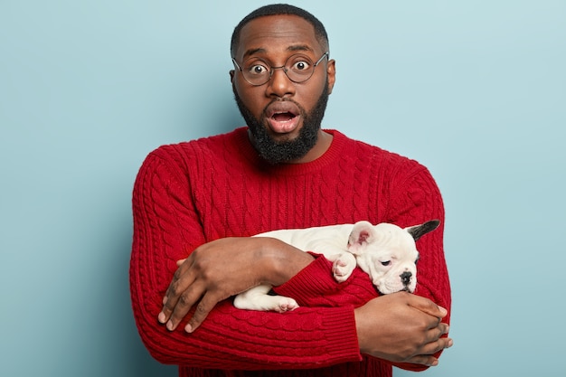 Uomo e cane amore. Maschio dalla pelle scura perplesso con setole spesse, porta il bulldog francese, stordito dalla malattia insolita del suo animale domestico, indossa un maglione rosso, guarda attraverso gli occhiali rotondi, isolato sul muro blu