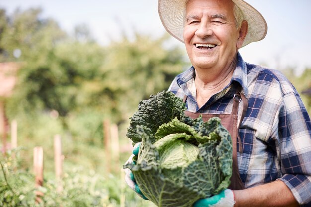 Uomo maggiore che lavora nel campo con le verdure