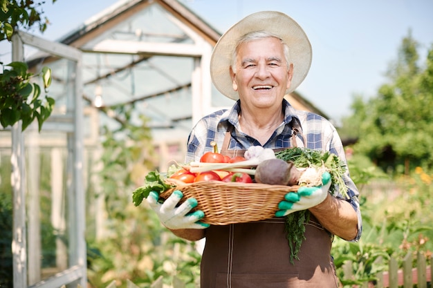 Uomo maggiore che lavora nel campo con le verdure