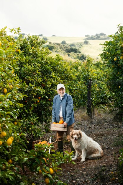 Uomo maggiore in piedi accanto ai suoi alberi di arancio