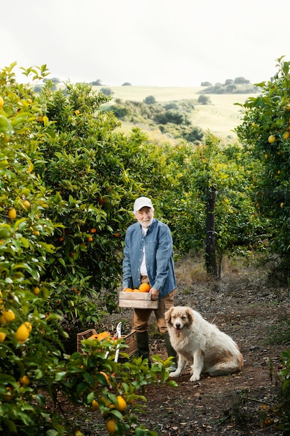 Uomo maggiore in piedi accanto ai suoi alberi di arancio