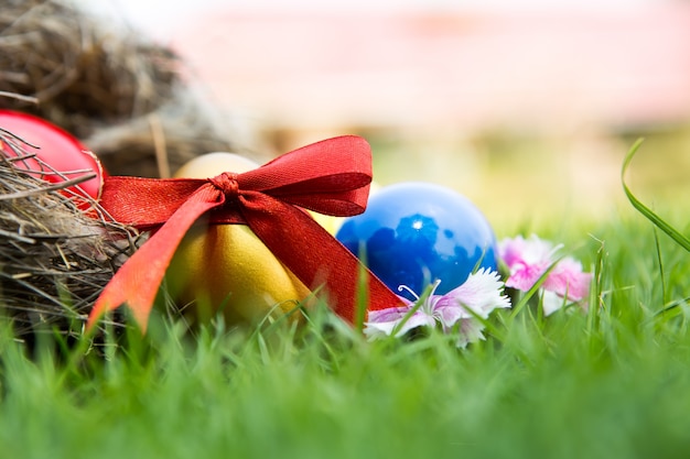 Uova di Pasqua nel nido su erba verde