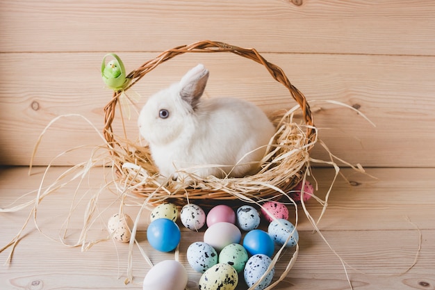 Uova di Pasqua vicino alla merce nel carrello del coniglio