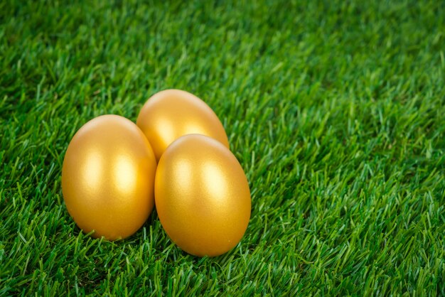 Uovo di Pasqua d&#39;oro su un prato verde