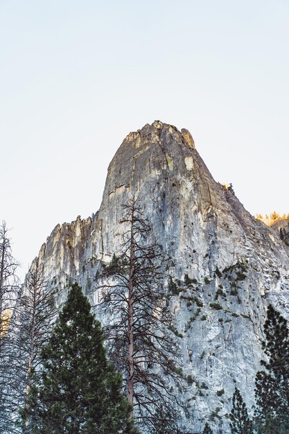 Valle dello Yosemite. Parco Nazionale Yosemite. Montagne e rocce, foresta