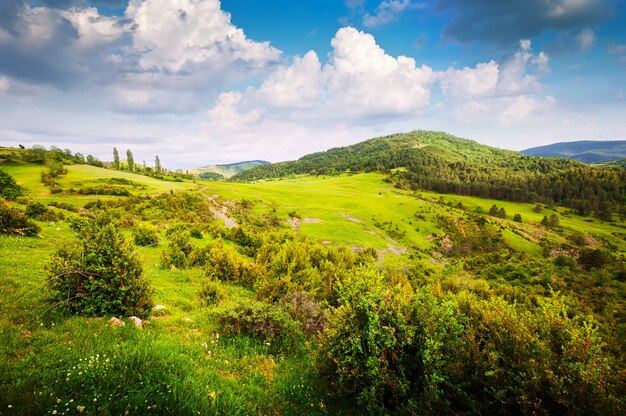 valle di montagna nei Pirenei