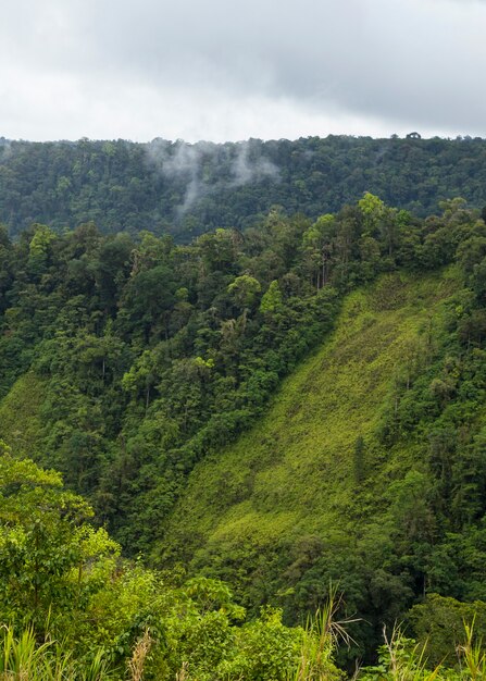 Valle e montagna fertili verdi in Costa Rica