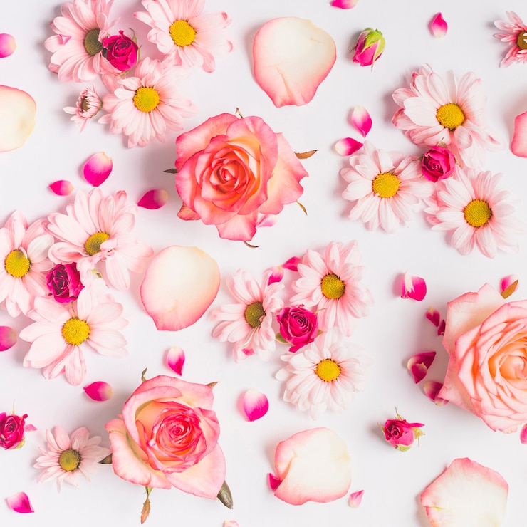 Foto gratuito vari fiori e petali