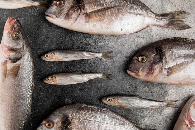 Vari piatti di pesce di pesce d'argento laici