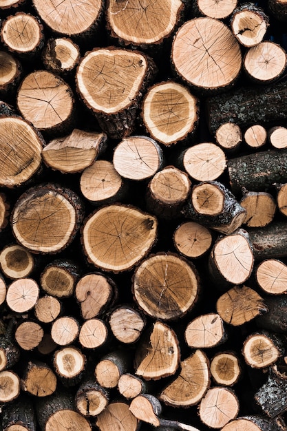Varietà di fondo di legno tagliato dei tronchi di albero