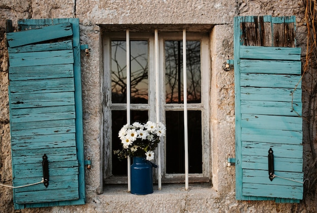 Vaso con fiori di primavera all'aperto