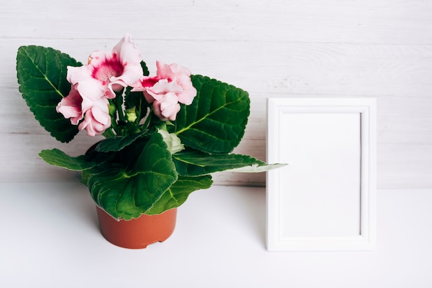 Vaso di fiori rosa con cornice bianca vuota sulla scrivania