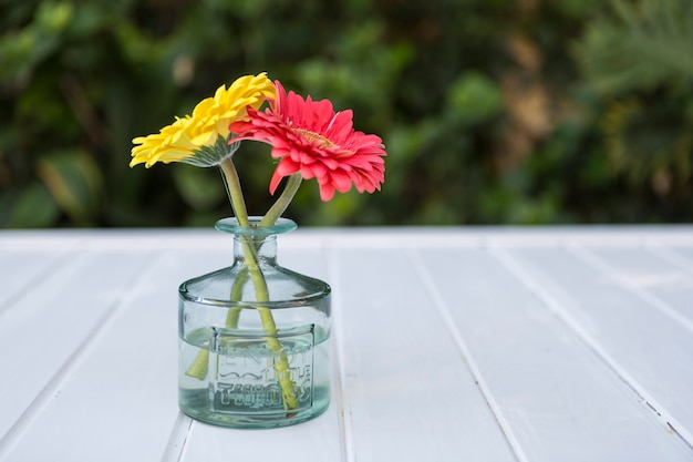 Vaso di vetro con due fiori