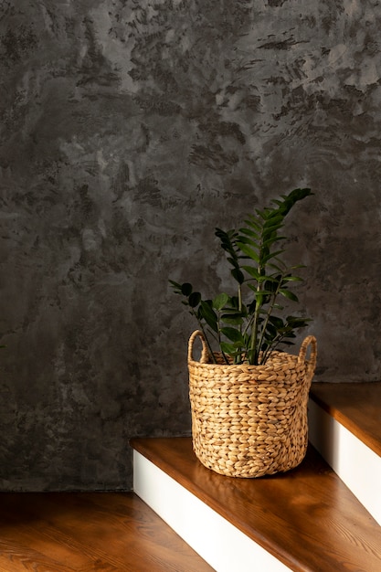 Vaso per piante su scale interior design
