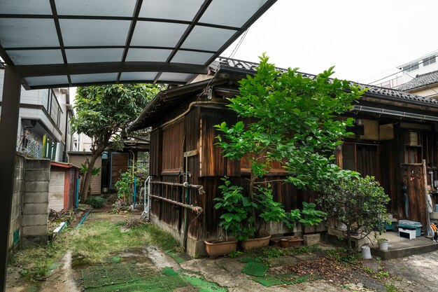 Vecchia casa abbandonata con legno marcio