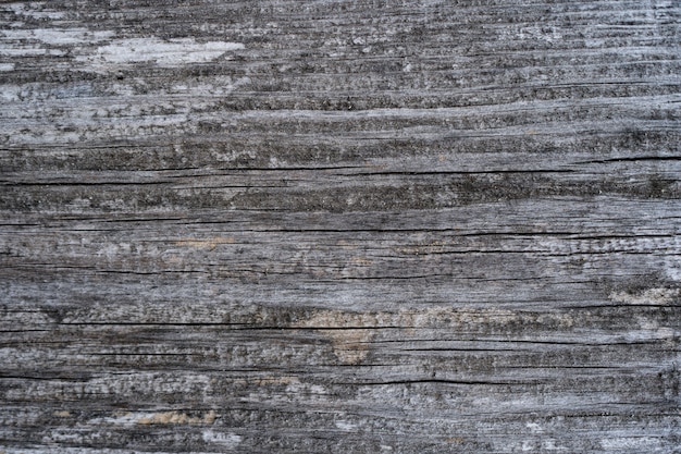 Vecchia struttura di legno della parete di legno per fondo e struttura.