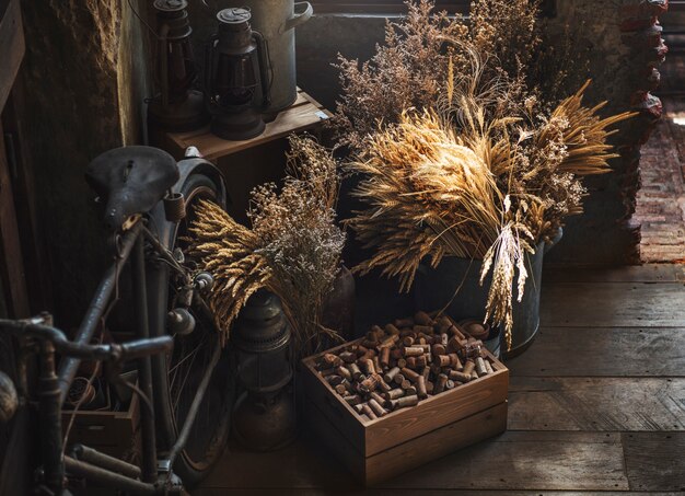 Vecchio concetto del collettore della bicicletta della lanterna della raccolta dell&#39;annata