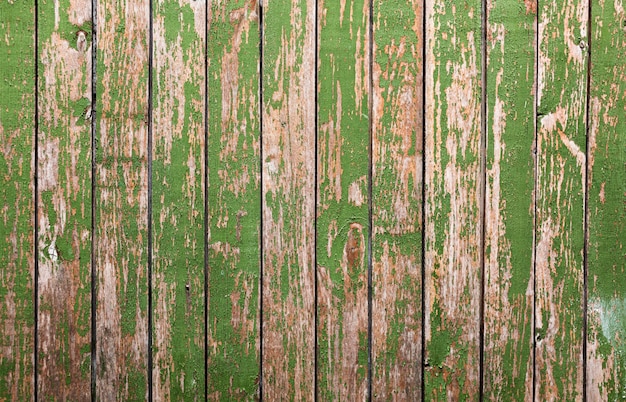 Vecchio fondo di legno con muschio verde