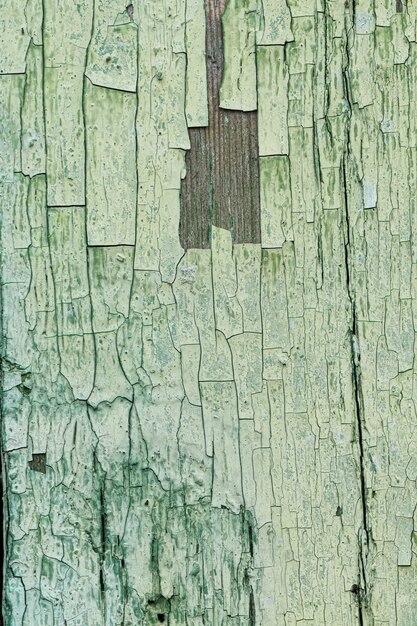 Vecchio fondo di legno verde graffiato