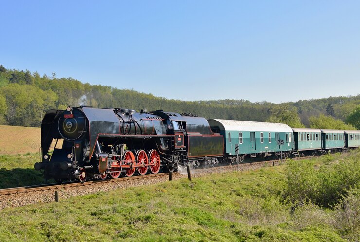 Vecchio treno nel campo
