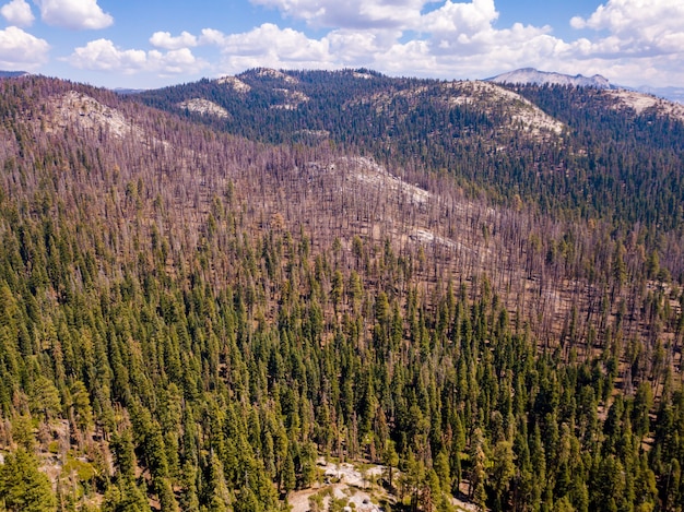 Veduta aerea del Parco Nazionale Yosemite El Capitan e vista sulla scogliera di Half Dome