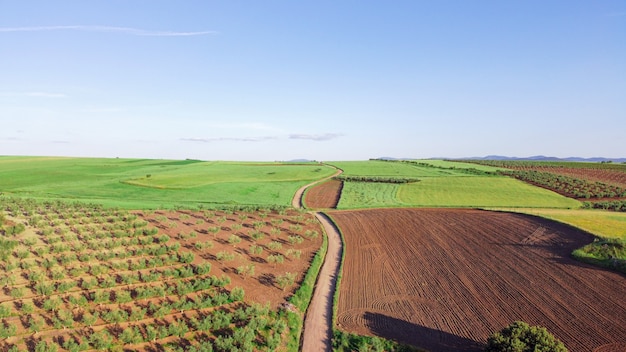 Veduta aerea di un vasto terreno agricolo con una strada di campagna al centro
