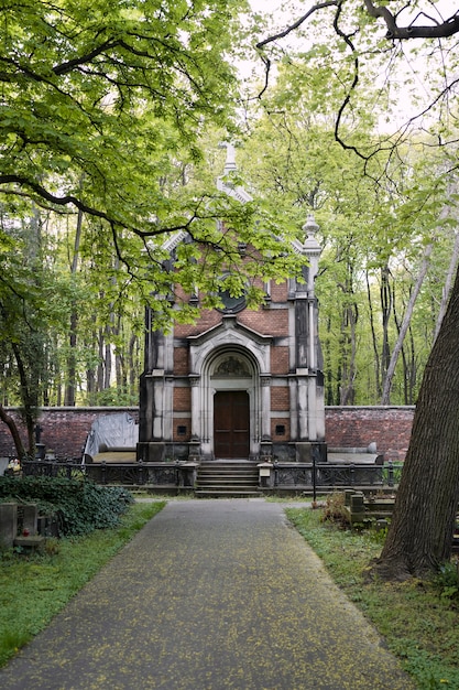 Veduta di un cimitero con lapidi