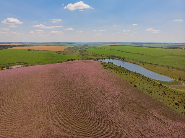 Veduta di un paesaggio con campo di lavanda