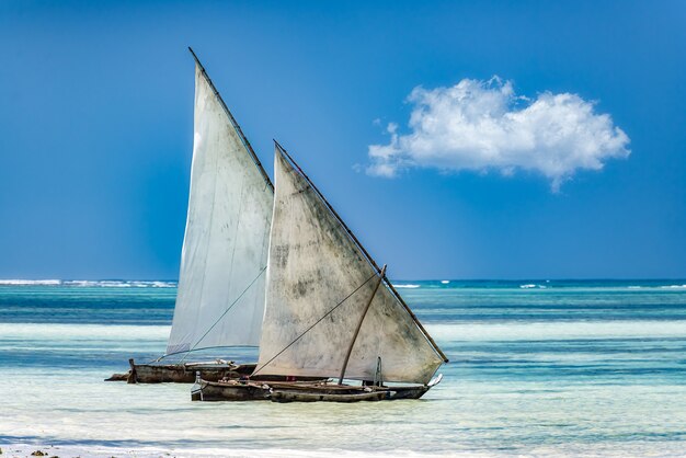 Vele sul mare sotto la luce del sole e un cielo azzurro