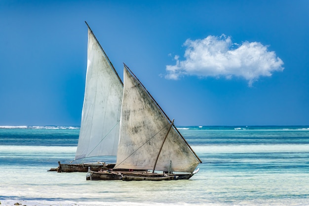 Vele sul mare sotto la luce del sole e un cielo azzurro