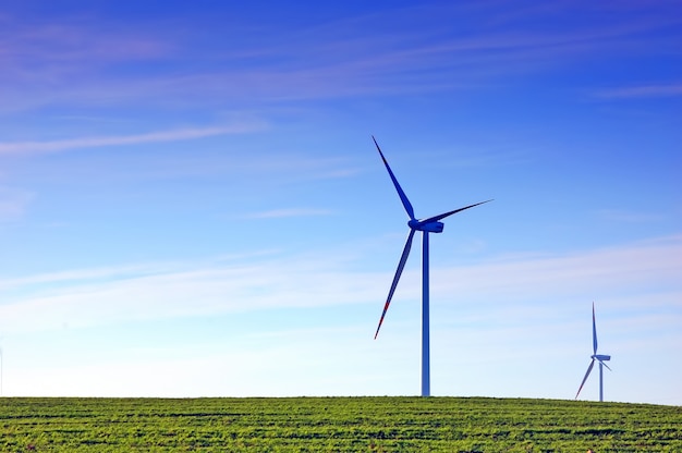 ventilatore vento in un campo di erba