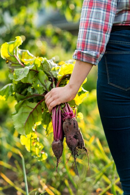 Verdure della tenuta della mano del primo piano