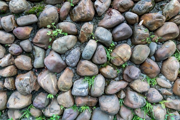 Vernice verde cemento astratto costruzione di carta da parati