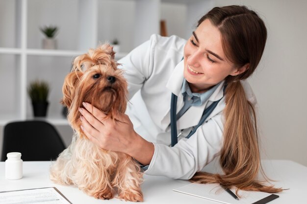 Veterinario che controlla la salute del cucciolo