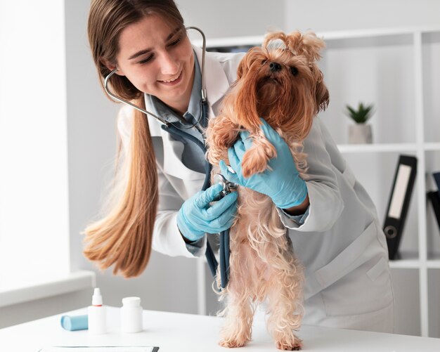 Veterinario che controlla la salute del cucciolo