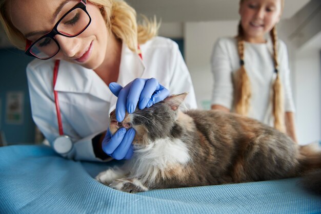 Veterinario che controlla le condizioni dei denti di gatto