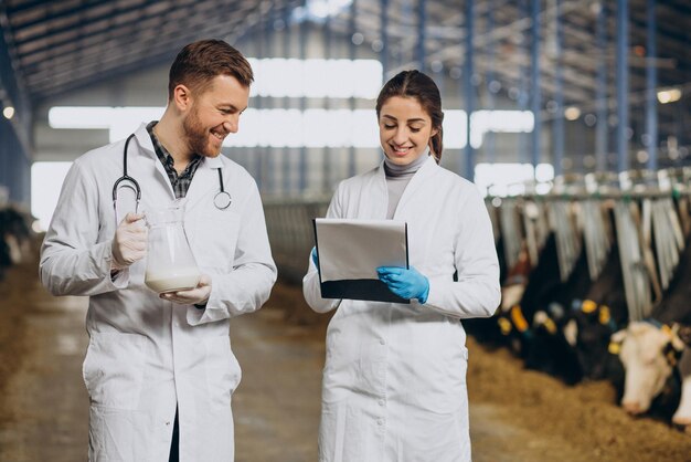 Veterinario presso l'azienda che cammina nella stalla controllando le mucche