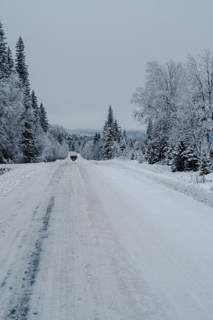 Via in una foresta coperta di neve con un camion e alberi su uno sfondo sfocato