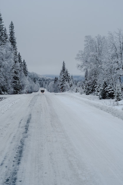 Via in una foresta coperta di neve con un camion e alberi su uno sfondo sfocato