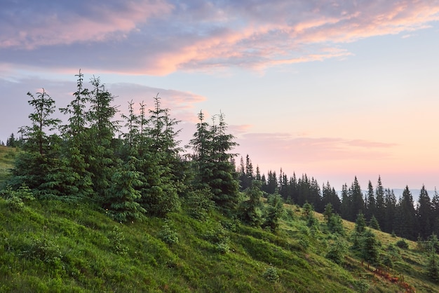 Viaggi, trekking. Paesaggio estivo - montagne, erba verde, alberi e cielo blu.