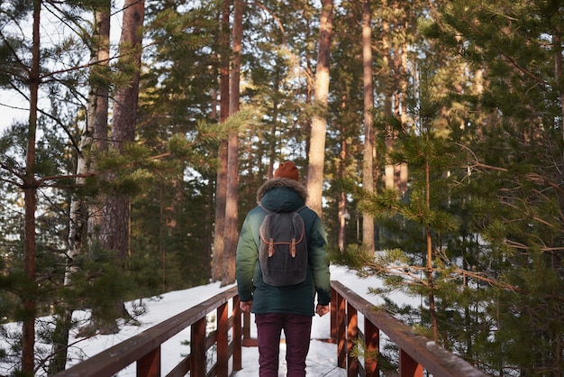 Viaggiatore nella foresta