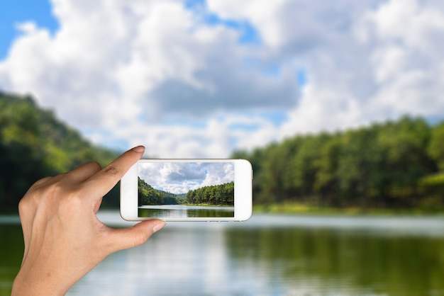 viaggio scena erba bellissimo paesaggio