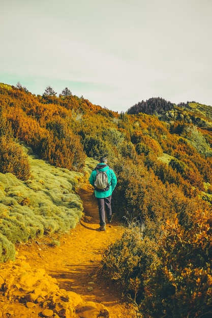 Viandante che cammina attraverso la natura