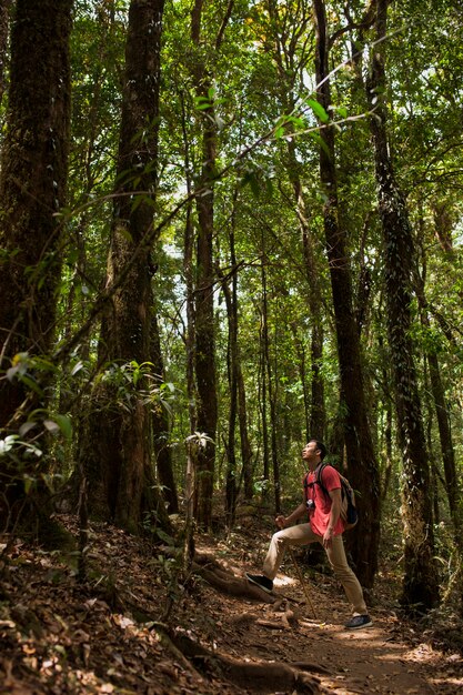 Viandante in una foresta selvaggia