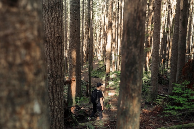 Viandante maschio che cammina nel bosco