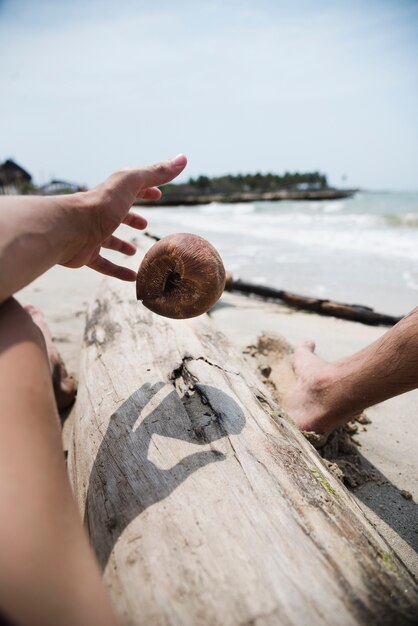 vicino mano afferrando cocco