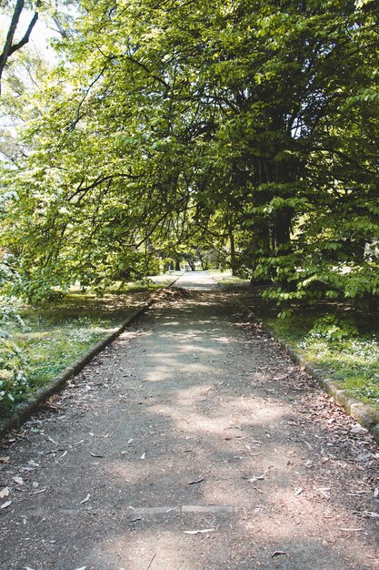 Vicolo nel bellissimo parco