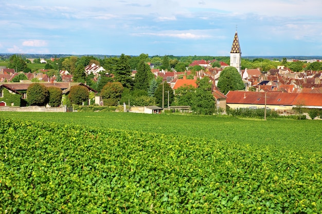 villaggio vino francese